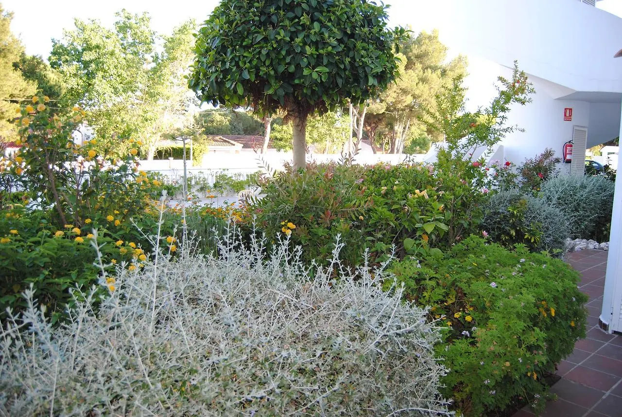Apartamentos Chiclana Taymar Chiclana de la Frontera 0*,  España